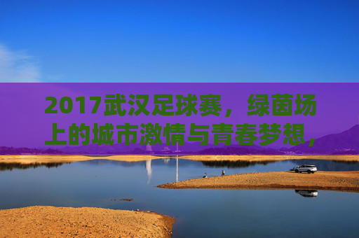 2017武汉足球赛，绿茵场上的城市激情与青春梦想，2017武汉足球赛，绿茵场上的城市激情与青春梦想