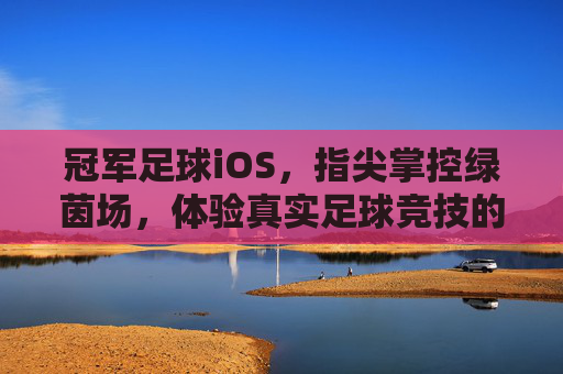 冠军足球iOS，指尖掌控绿茵场，体验真实足球竞技的激情与策略，冠军足球iOS，指尖掌控绿茵场，尽享真实足球竞技的激情与策略