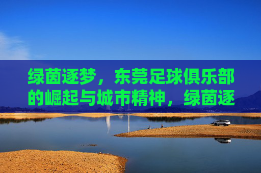 绿茵逐梦，东莞足球俱乐部的崛起与城市精神，绿茵逐梦，东莞足球俱乐部的崛起与城市精神