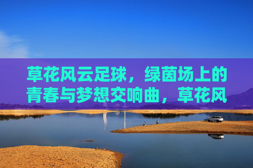 草花风云足球，绿茵场上的青春与梦想交响曲，草花风云足球，绿茵场上的青春与梦想交响曲