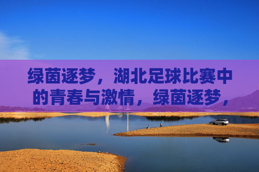 绿茵逐梦，湖北足球比赛中的青春与激情，绿茵逐梦，湖北足球比赛中的青春与激情