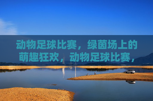 动物足球比赛,绿茵场上的萌趣狂欢,动物足球比赛,绿茵场上的萌趣狂欢