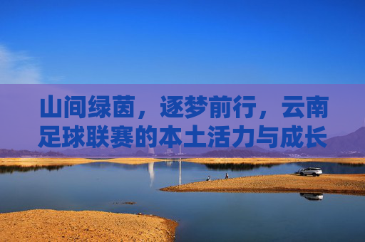 山间绿茵,逐梦前行,云南足球联赛的本土活力与成长之路,山间绿茵,逐梦前行,云南足球联赛的本土活力与成长之路