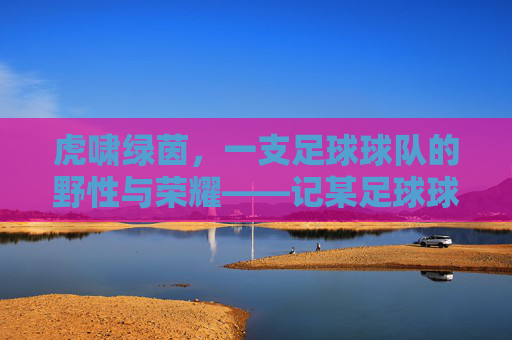 虎啸绿茵，一支足球球队的野性与荣耀——记某足球球队的成长轨迹与精神传承，虎啸绿茵，一支足球球队的野性与荣耀——记某足球球队的成长轨迹与精神传承