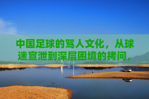 中国足球的骂人文化，从球迷宣泄到深层困境的拷问，中国足球的骂人文化，从球迷宣泄到深层困境的拷问