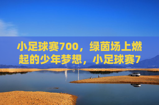 小足球赛700，绿茵场上燃起的少年梦想，小足球赛700，绿茵场上燃起的少年足球梦