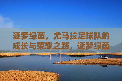 逐梦绿茵，尤马拉足球队的成长与荣耀之路，逐梦绿茵，尤马拉足球队的成长与荣耀之路