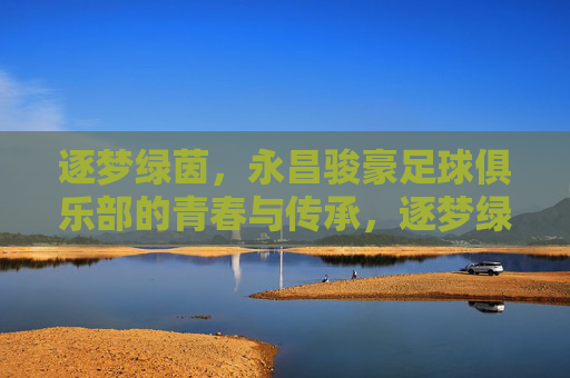 逐梦绿茵,永昌骏豪足球俱乐部的青春与传承,逐梦绿茵,永昌骏豪足球俱乐部的青春与传承