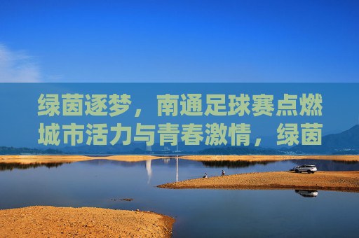 绿茵逐梦,南通足球赛点燃城市活力与青春激情,绿茵逐梦,南通足球赛点燃城市活力与青春激情