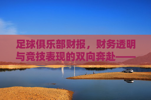 足球俱乐部财报，财务透明与竞技表现的双向奔赴——解析职业足球俱乐部的财务健康与竞技策略，足球俱乐部财报，财务透明与竞技表现的双向奔赴——解析职业足球俱乐部的财务健康与竞技策略