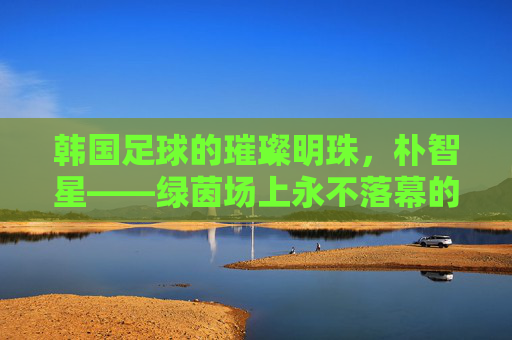 韩国足球的璀璨明珠，朴智星——绿茵场上永不落幕的小飞侠，韩国足球的璀璨明珠，朴智星——绿茵场上永不落幕的小飞侠
