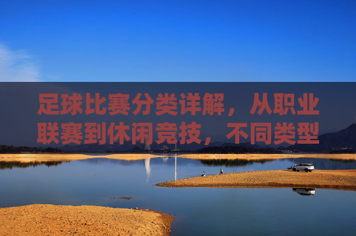 足球比赛分类详解，从职业联赛到休闲竞技，不同类型比赛的特点与魅力