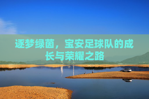 逐梦绿茵，宝安足球队的成长与荣耀之路
