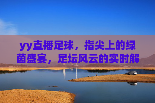 yy直播足球,指尖上的绿茵盛宴,足坛风云的实时解码,yy直播足球,指尖上的绿茵盛宴,足坛风云的实时解码
