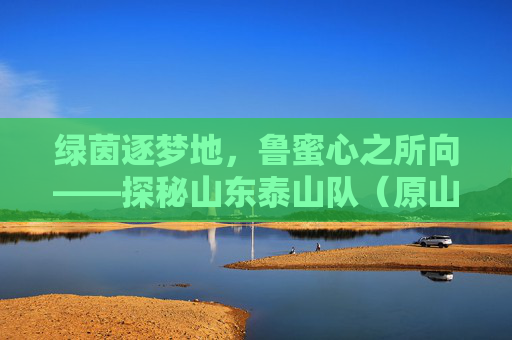 绿茵逐梦地,鲁蜜心之所向——探秘山东泰山队(原山东鲁能泰山队)主场