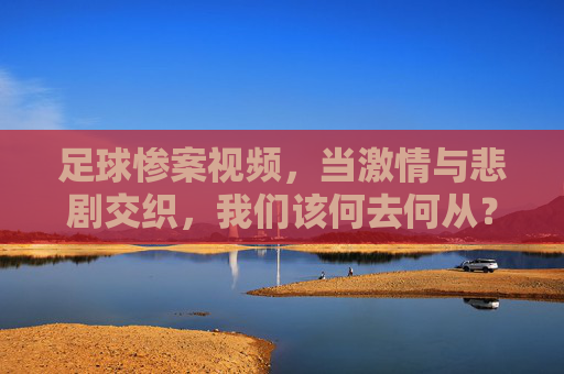足球惨案视频,当激情与悲剧交织,我们该何去何从?