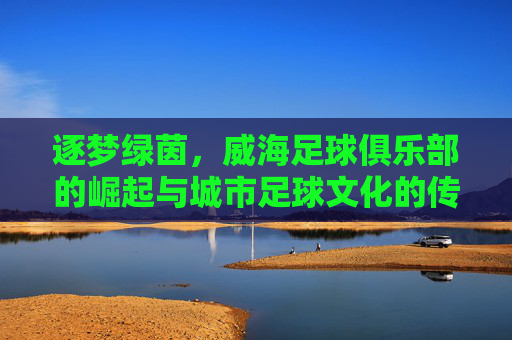 逐梦绿茵,威海足球俱乐部的崛起与城市足球文化的传承