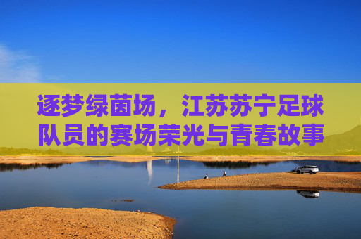 逐梦绿茵场,江苏苏宁足球队员的赛场荣光与青春故事,逐梦绿茵场,江苏苏宁足球队员的赛场荣光与青春故事