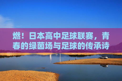 燃！日本高中足球联赛，青春的绿茵场与足球的传承诗，燃！日本高中足球联赛，青春的绿茵场与足球的传承诗