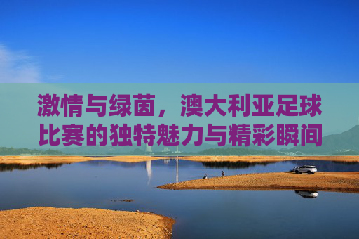 激情与绿茵,澳大利亚足球比赛的独特魅力与精彩瞬间