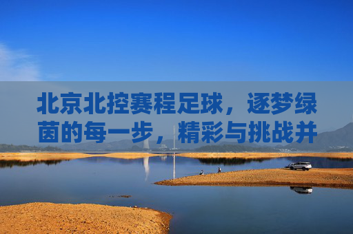 北京北控赛程足球，逐梦绿茵的每一步，精彩与挑战并存，北京北控足球赛程，逐梦绿茵的每一步，精彩与挑战的交织