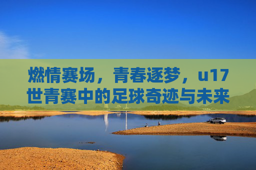 燃情赛场，青春逐梦，u17世青赛中的足球奇迹与未来之光，燃情赛场，青春逐梦，u17世青赛中的足球奇迹与未来之光