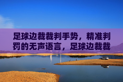 足球边裁裁判手势,精准判罚的无声语言,足球边裁裁判手势,精准判罚的无声语言