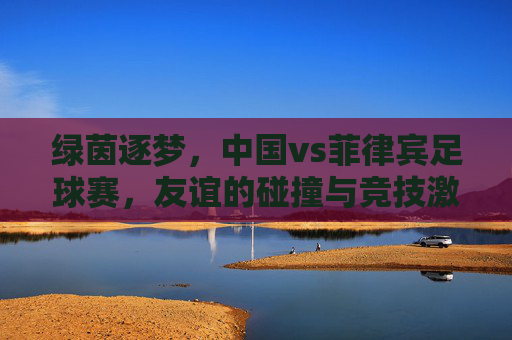 绿茵逐梦,中国vs菲律宾足球赛,友谊的碰撞与竞技激情,绿茵逐梦,中国vs菲律宾足球赛,友谊的碰撞与竞技激情