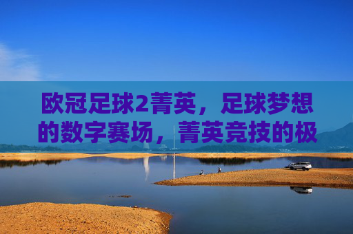 欧冠足球2菁英，足球梦想的数字赛场，菁英竞技的极致体验，欧冠足球2菁英，足球梦想的数字赛场，菁英竞技的极致体验