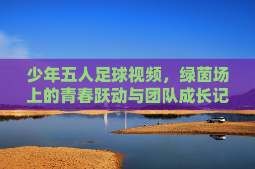少年五人足球视频，绿茵场上的青春跃动与团队成长记，少年五人足球视频，绿茵场上的青春跃动与团队成长记