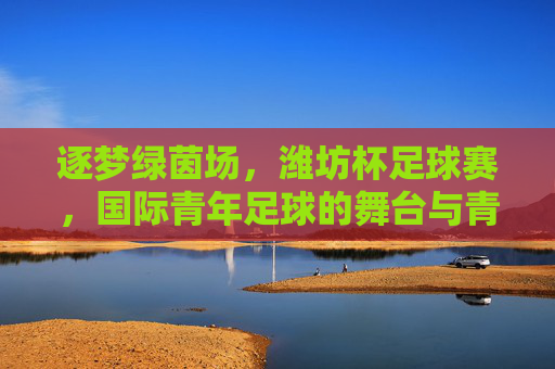 逐梦绿茵场,潍坊杯足球赛,国际青年足球的舞台与青春的交响,逐梦绿茵场,潍坊杯足球赛,国际青年足球的舞台与青春交响