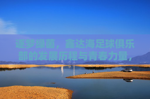 逐梦绿茵，鑫达海足球俱乐部的发展历程与青春力量，逐梦绿茵，鑫达海足球俱乐部的发展历程与青春力量