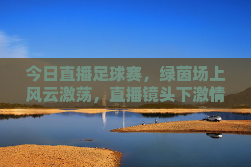 今日直播足球赛，绿茵场上风云激荡，直播镜头下激情共赴，今日直播足球赛，绿茵场上风云激荡，直播镜头共赴激情