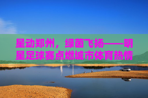 星动郑州,绿茵飞扬——明星足球赛点燃城市体育热情,星动郑州,绿茵飞扬——明星足球赛点燃城市体育热情