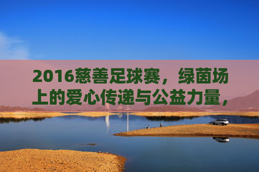 2016慈善足球赛，绿茵场上的爱心传递与公益力量，2016慈善足球赛，绿茵场上的爱心传递与公益力量