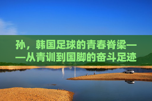 孙，韩国足球的青春脊梁——从青训到国脚的奋斗足迹与时代担当，孙兴慜，韩国足球的青春脊梁——从青训到国脚的奋斗足迹与时代担当