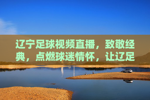 辽宁足球视频直播，致敬经典，点燃球迷情怀，让辽足精神永续传承，辽宁足球视频直播，致敬经典，点燃情怀，永续辽足精神