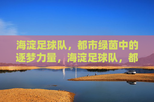 海淀足球队,都市绿茵中的逐梦力量,海淀足球队,都市绿茵中的逐梦力量