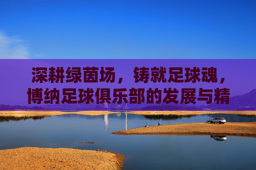 深耕绿茵场，铸就足球魂，博纳足球俱乐部的发展与精神传承，深耕绿茵场，铸就足球魂，博纳足球俱乐部的发展与精神传承