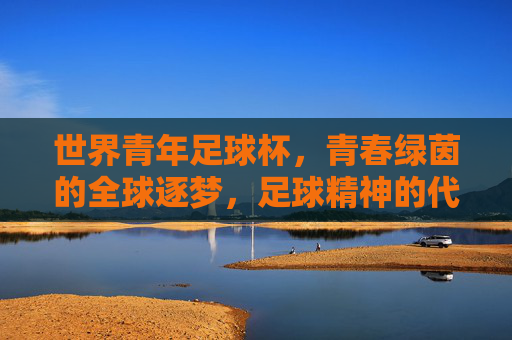 世界青年足球杯，青春绿茵的全球逐梦，足球精神的代际传承，世界青年足球杯，青春绿茵逐梦，足球精神代际传承