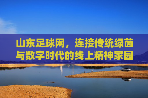山东足球网，连接传统绿茵与数字时代的线上精神家园，山东足球网，连接传统绿茵与数字时代的线上精神家园