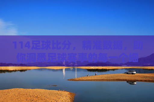 114足球比分，精准数据，助你洞悉足球赛事的每一个细节，114足球比分，精准数据，助你洞悉足球赛事的每一个细节