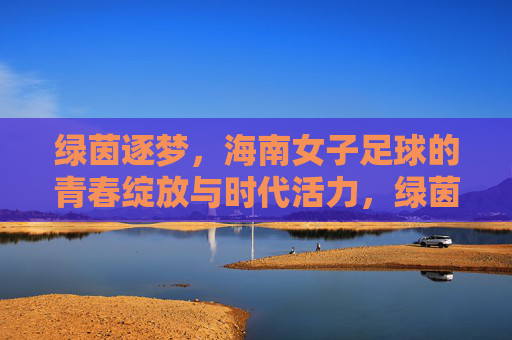 绿茵逐梦，海南女子足球的青春绽放与时代活力，绿茵逐梦，海南女子足球的青春绽放与时代活力