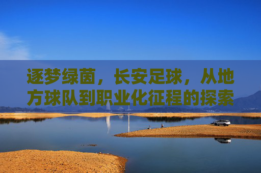 逐梦绿茵，长安足球，从地方球队到职业化征程的探索与展望，逐梦绿茵，长安足球，从地方球队到职业化征程的探索与展望