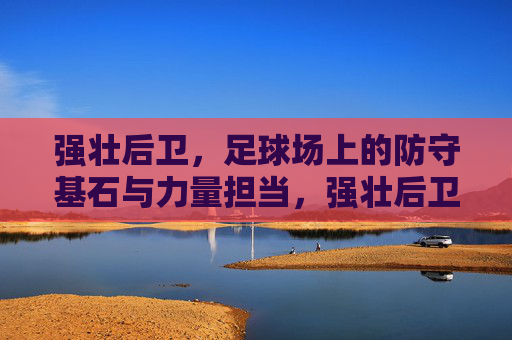 强壮后卫，足球场上的防守基石与力量担当，强壮后卫，足球场上的防守基石与力量担当