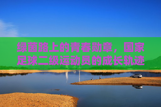 绿茵路上的青春勋章,国家足球二级运动员的成长轨迹与奋斗故事,绿茵路上的青春勋章,国家足球二级运动员的成长轨迹与奋斗故事