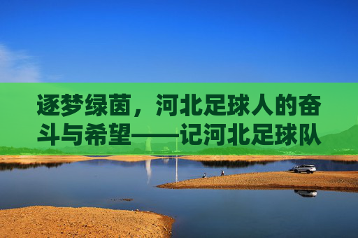 逐梦绿茵，河北足球人的奋斗与希望——记河北足球队员的不懈追求，逐梦绿茵，河北足球人的奋斗与希望——记河北足球队员的不懈追求