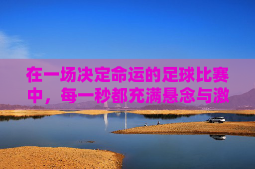 在一场决定命运的足球比赛中,每一秒都充满悬念与激情,命运足球战,每一秒的悬念与激情