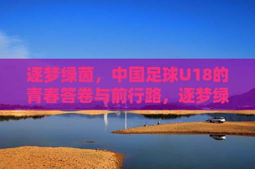 逐梦绿茵，中国足球U18的青春答卷与前行路，逐梦绿茵，中国足球U18的青春答卷与前行路