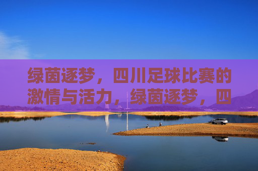 绿茵逐梦,四川足球比赛的激情与活力,绿茵逐梦,四川足球比赛的激情与活力